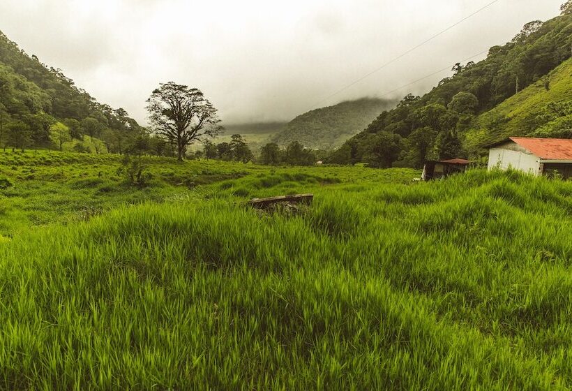 בית מלון כפרי Aurora Mountain