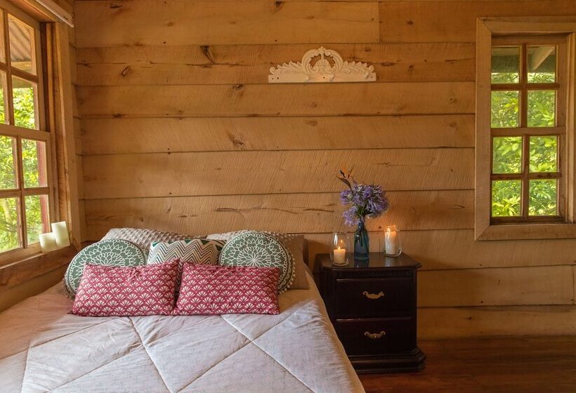 בית מלון כפרי Aurora Mountain