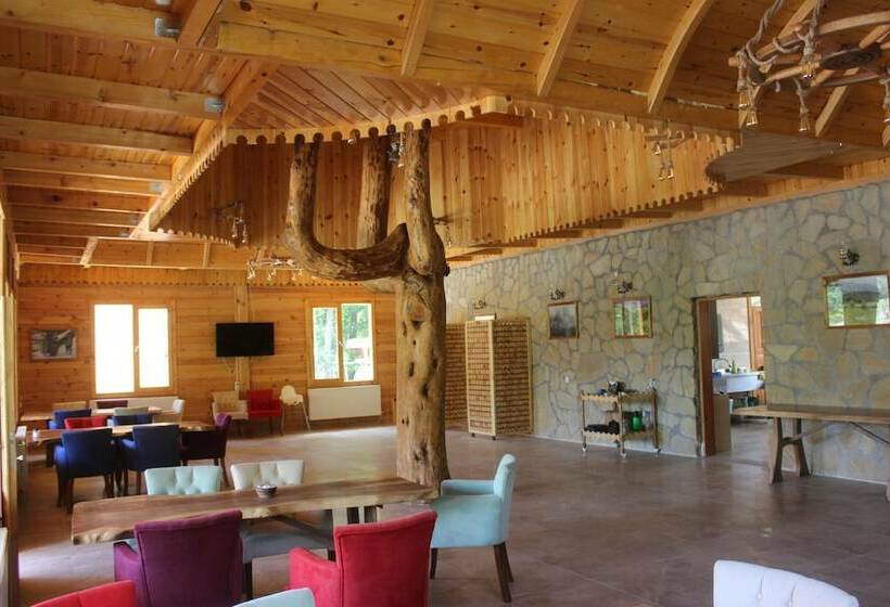 Hotel Velikoy Han Konaklari