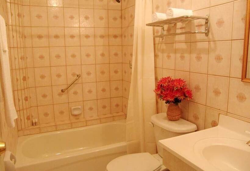 هتل Le Grand Penthouse