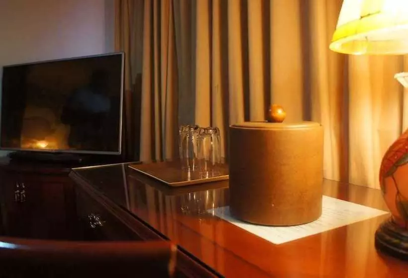 هتل Le Grand Penthouse