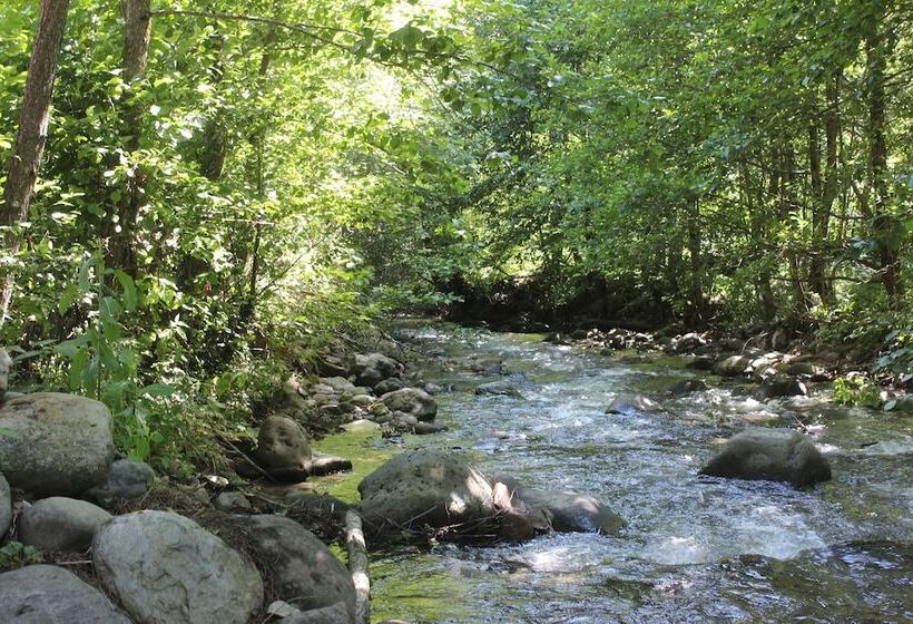 Hotel Velikoy Han Konaklari