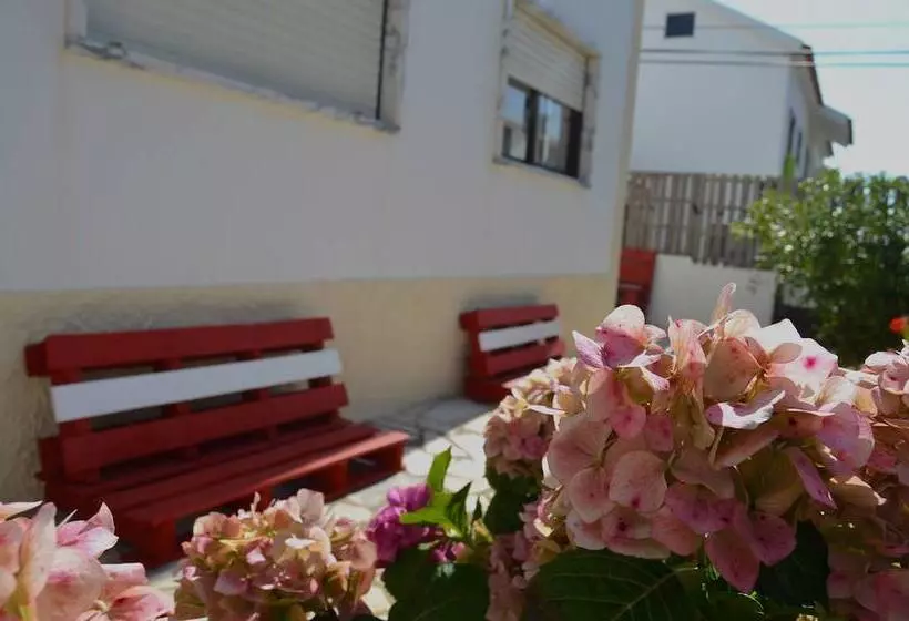 Pi Guest House   Hostel