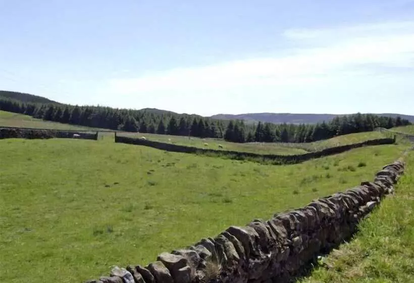 Downsdale Cottage