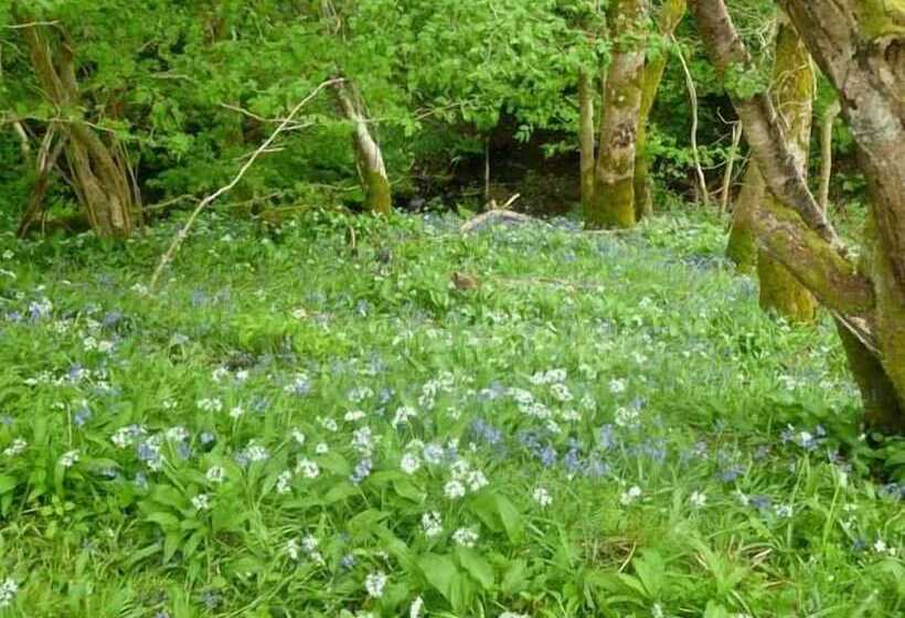 Hendre Aled Farmhouse