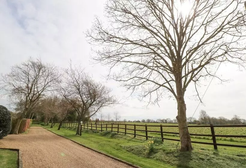 Pear Tree