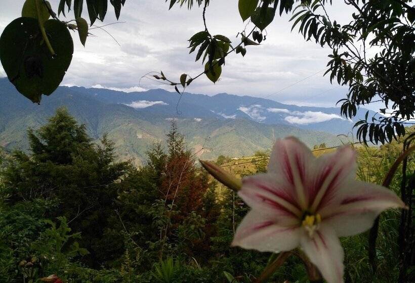 Общежитие Hostal Villas San Miguel