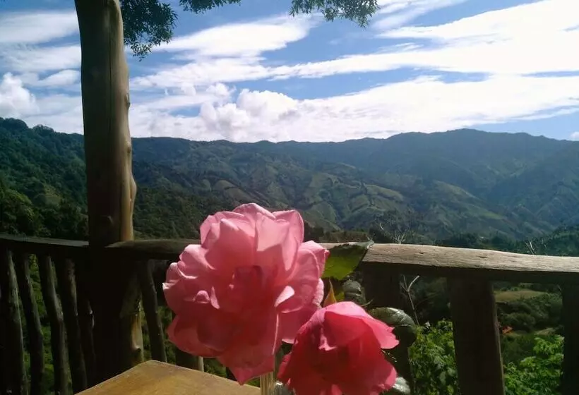 ユースホステル Hostal Villas San Miguel