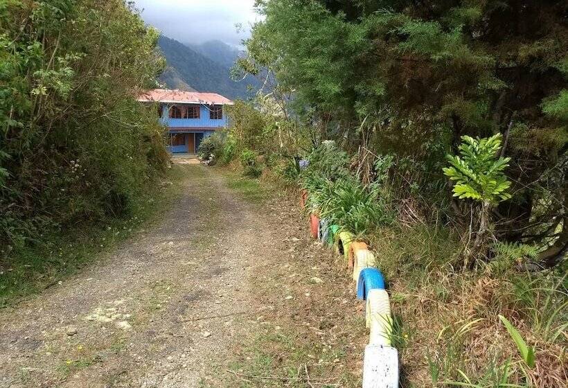 Общежитие Hostal Villas San Miguel