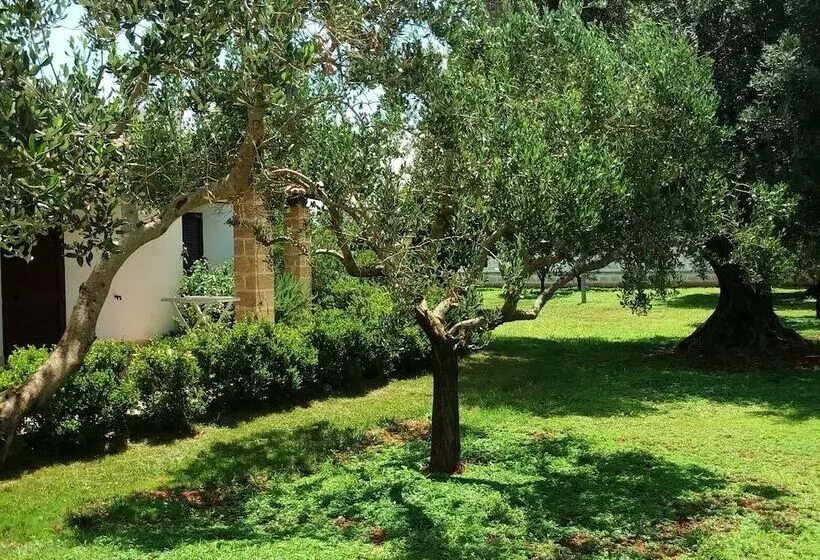 Aamiaismajoitus (B&B) Residence Gli Ulivi