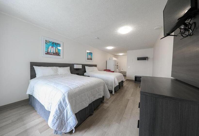 汽车旅馆  Flamingo Hotel & Tower