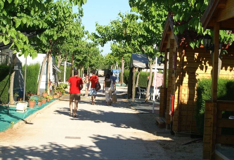 호텔 Bungalows Oasis