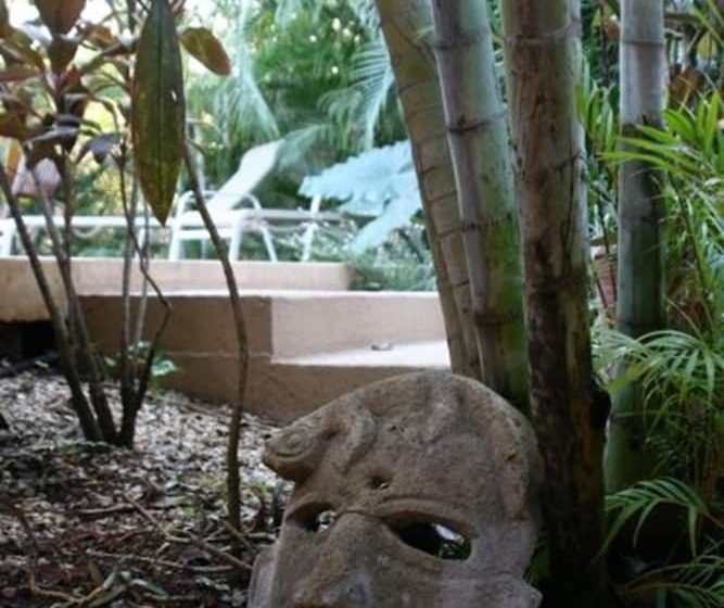 فندق Chocolate Hostel