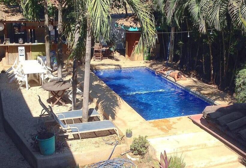 فندق Chocolate Hostel