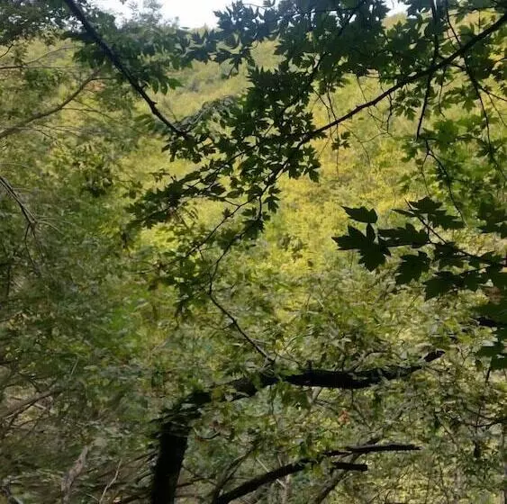 Hotelli Kirkahvesi Garden   Campsite