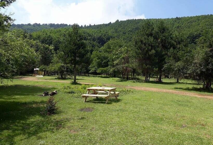 ホテル Kirkahvesi Garden   Campsite
