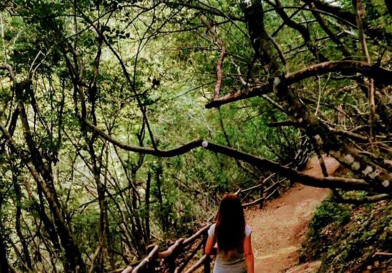 ホテル Kirkahvesi Garden   Campsite