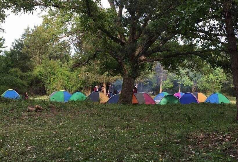 ホテル Kirkahvesi Garden   Campsite