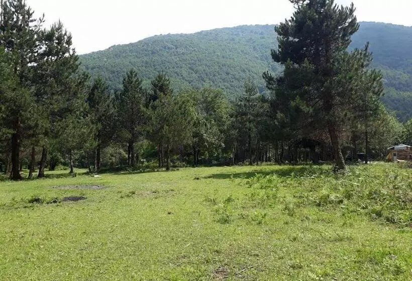 Hotelli Kirkahvesi Garden   Campsite