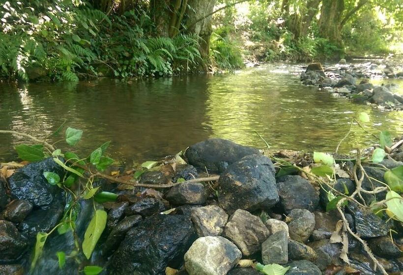 ホテル Kirkahvesi Garden   Campsite