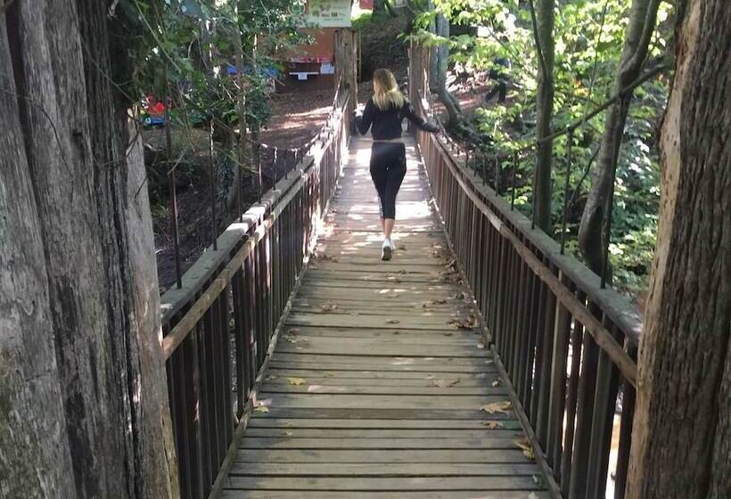 ホテル Kirkahvesi Garden   Campsite