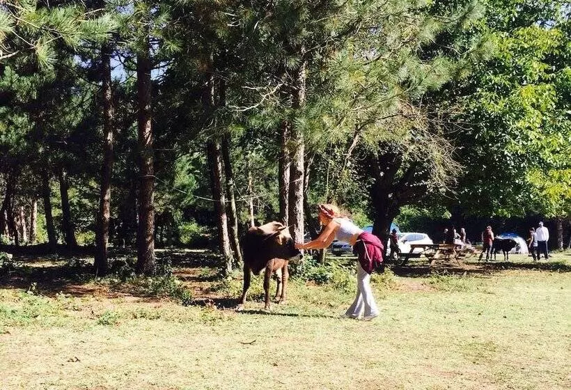 Hotelli Kirkahvesi Garden   Campsite