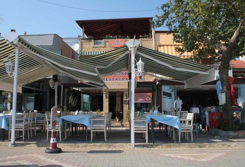 هتل Kucukkuyu Gumus