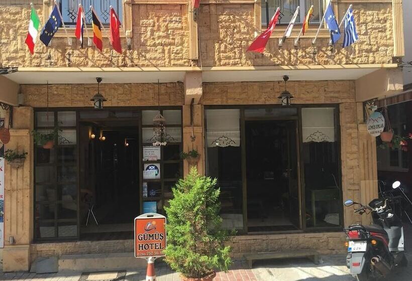 هتل Kucukkuyu Gumus