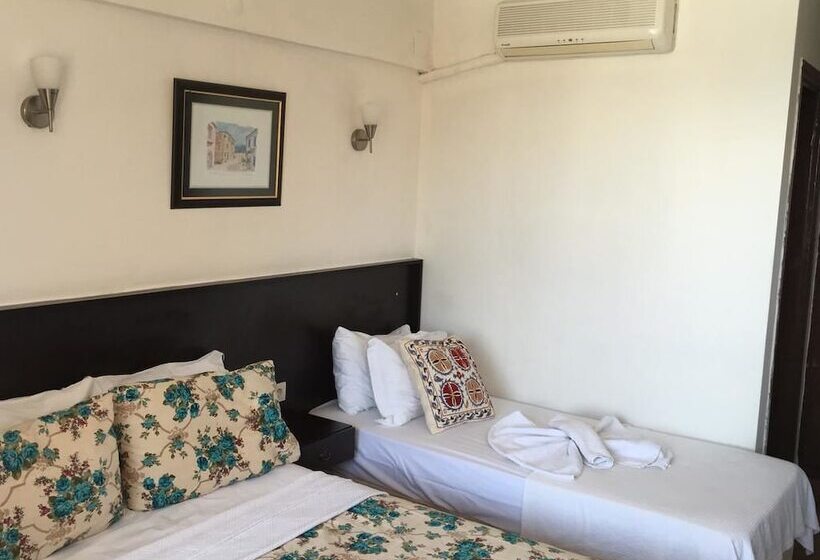 هتل Kucukkuyu Gumus