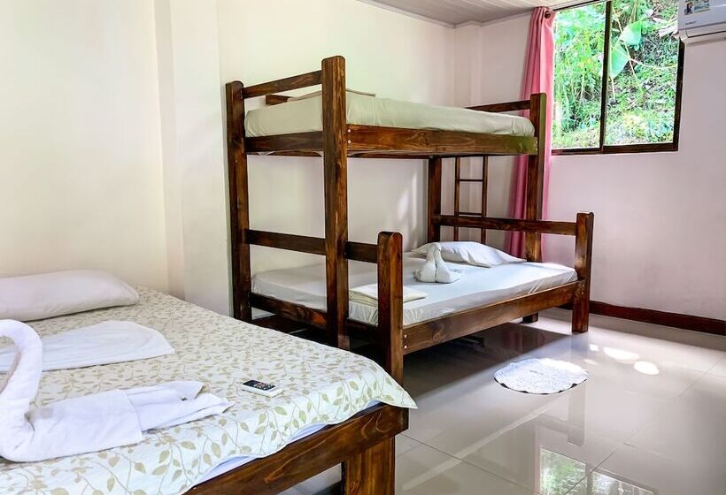 ホテル Los Coquitos Lodge