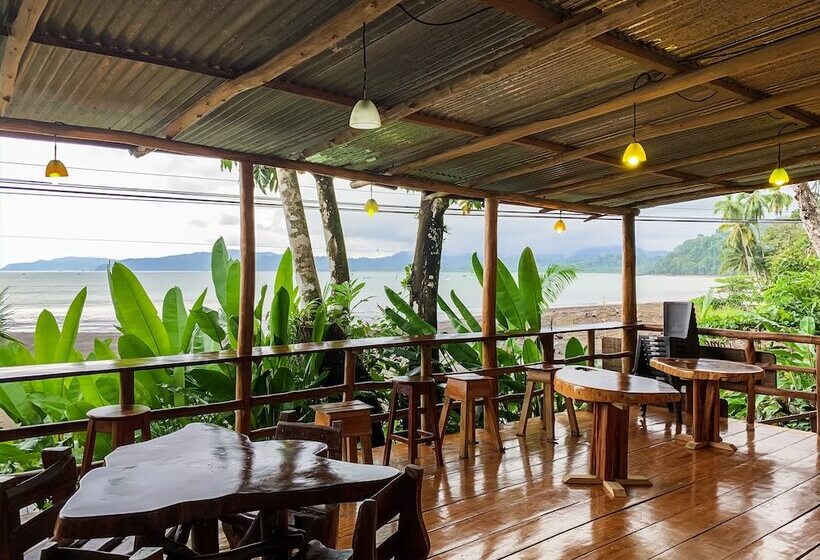 ホテル Los Coquitos Lodge