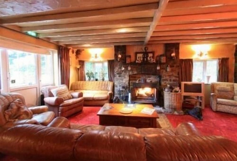 酒店 The Lavender House