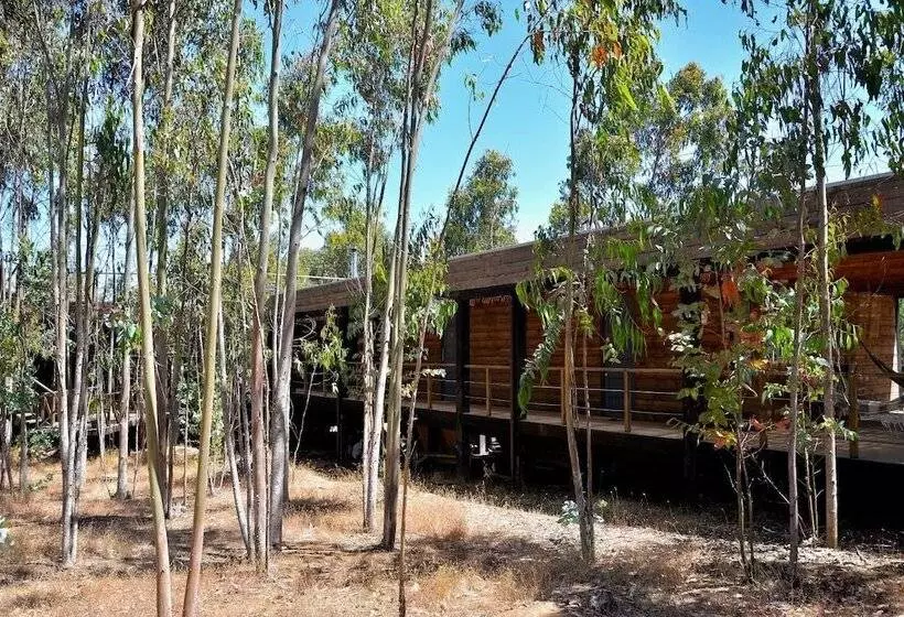 هتل Tripanko Lodge & Bungalows