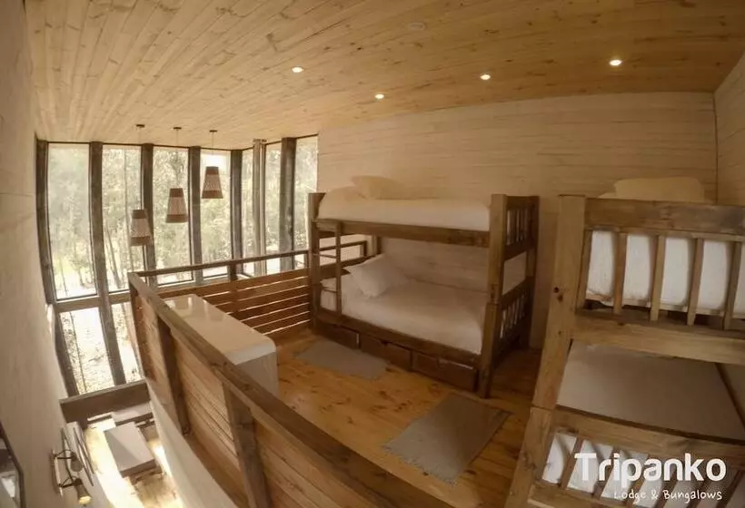 هتل Tripanko Lodge & Bungalows