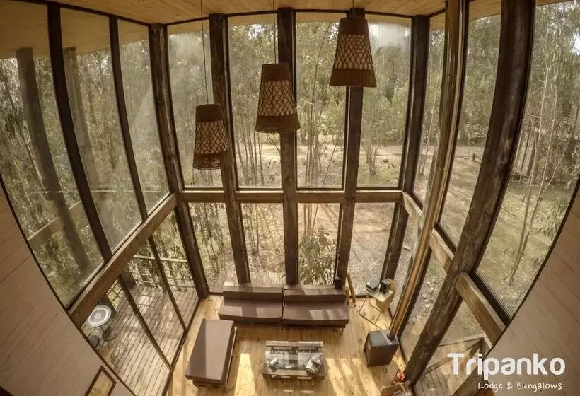هتل Tripanko Lodge & Bungalows