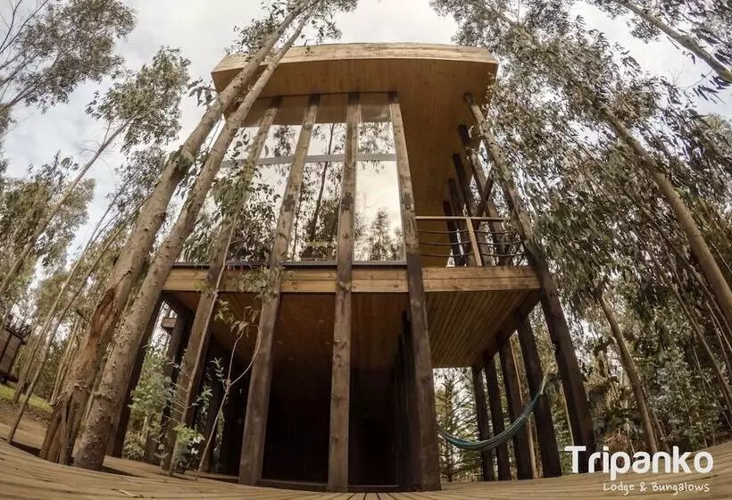هتل Tripanko Lodge & Bungalows