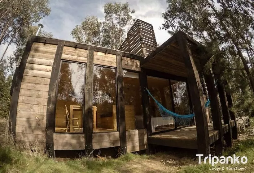 هتل Tripanko Lodge & Bungalows