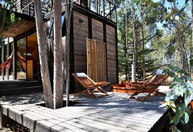 هتل Tripanko Lodge & Bungalows