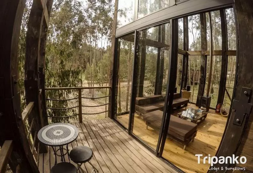 هتل Tripanko Lodge & Bungalows