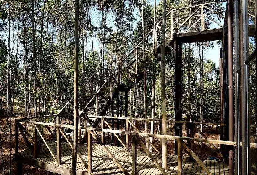 هتل Tripanko Lodge & Bungalows