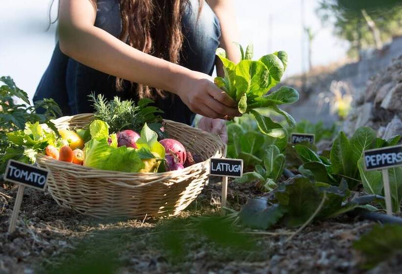 Il Casale Di Caterina