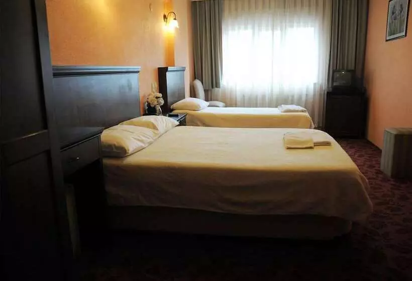 Otel Karaevli