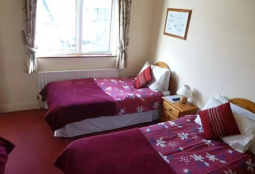 پانسیون Dooley's Townhouse