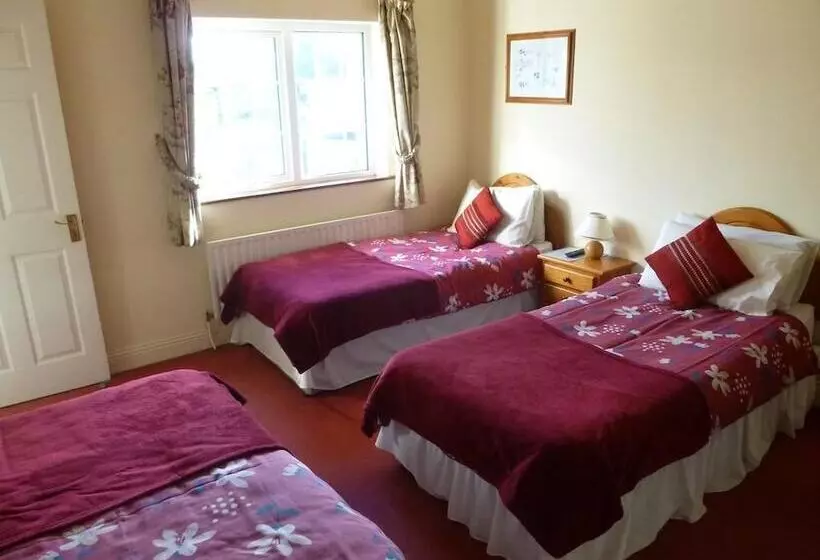 پانسیون Dooley's Townhouse