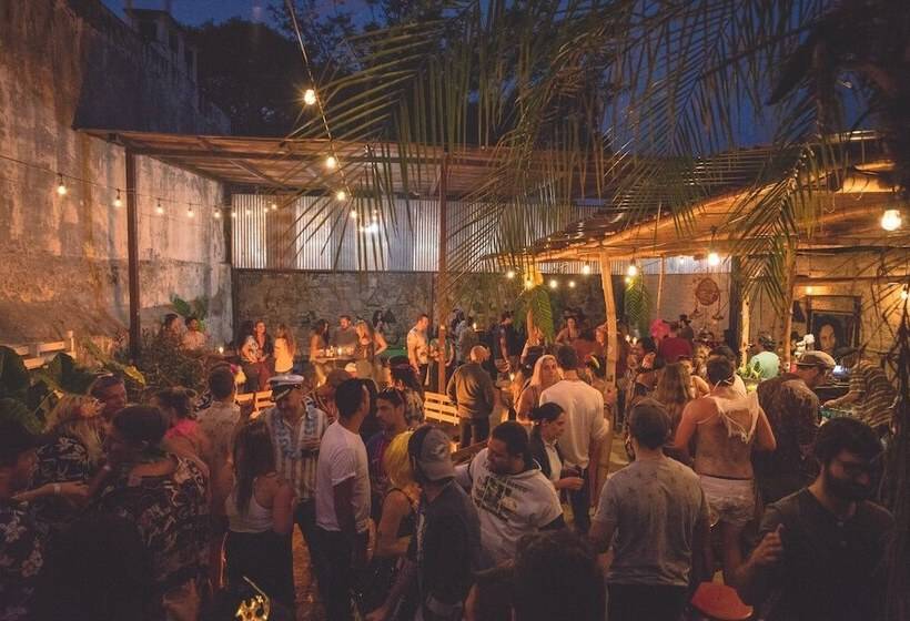 The Doozy Koala Hostel