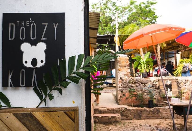 The Doozy Koala Hostel
