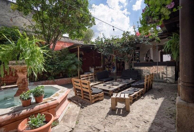 The Doozy Koala Hostel