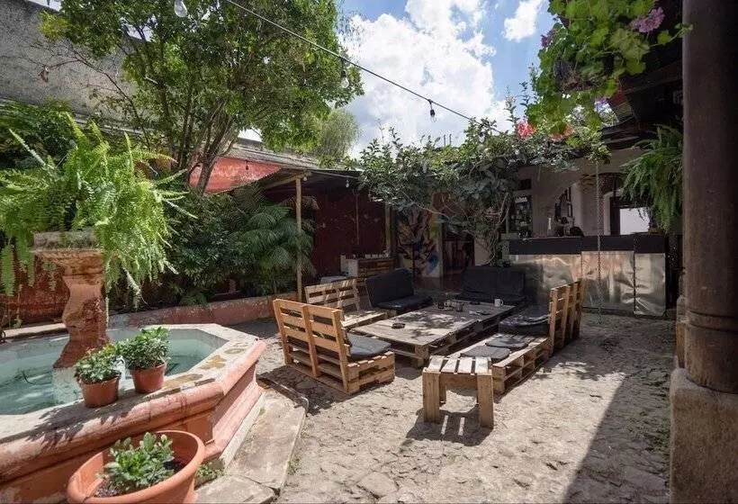 The Doozy Koala Hostel