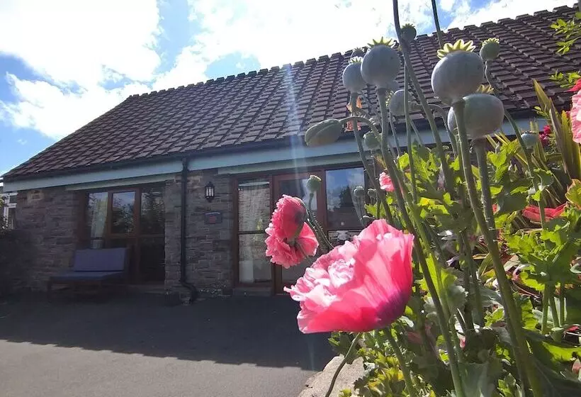 Tyncellar Farm Holiday Cottages