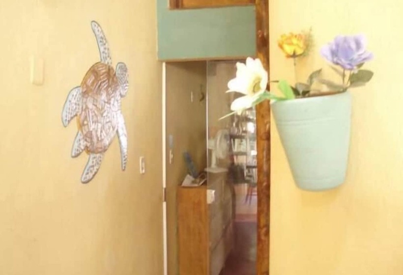 A Bananeira Azul Hostel